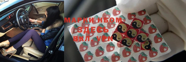 хмурый Надым