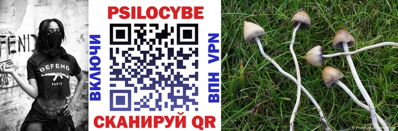 Псилоцибиновые грибы Magic Shrooms  Оса 