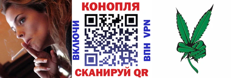 Бошки Шишки OG Kush  кракен зеркало  Оса  где можно купить  